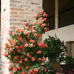 Le Tre Arti Bed & Breakfast 3*