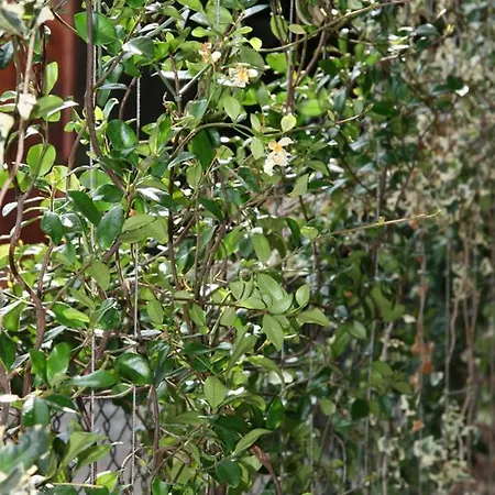 Bed and breakfast Le Tre Arti