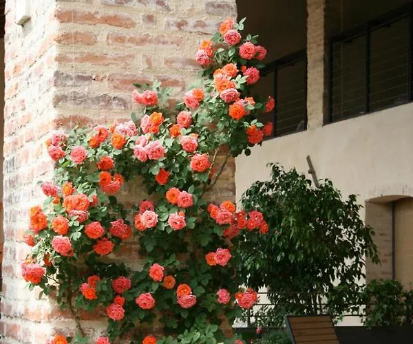 Le Tre Arti Bed & Breakfast 3*